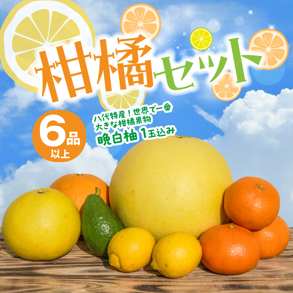 【先行予約】 八代市産 柑橘セット(6品以上・晩白柚1玉入り) 柑橘 みかん 果物 フルーツ 熊本県産 ばんぺいゆ 特産品 【2025年12月上旬より順次発送】熊本県八代市18000果物・フルーツみか