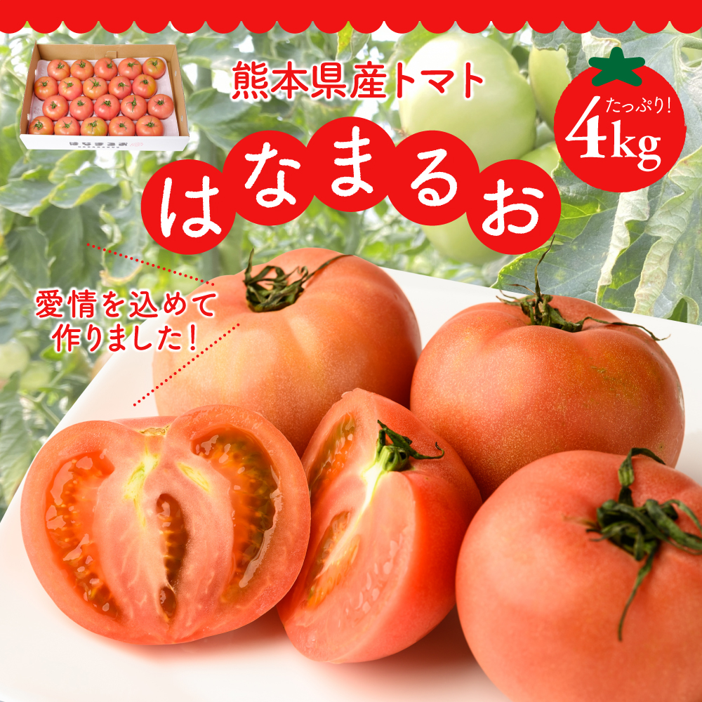 【先行予約】 熊本県産 トマト はなまるお 4kg トマト とまと 新鮮 サラダ 野菜 やさい 八代市産 九州 【2025年12月中旬より順次発送】熊本県八代市9000野菜・きのこトマト