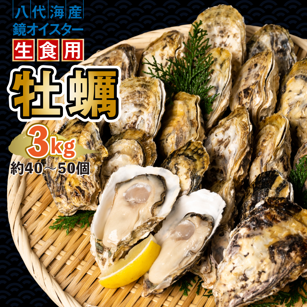ys\z y ICX^[ Hp 3kg ICX^[  VN ܂ BBQ y2025N12{菇zF{s25000ECYL