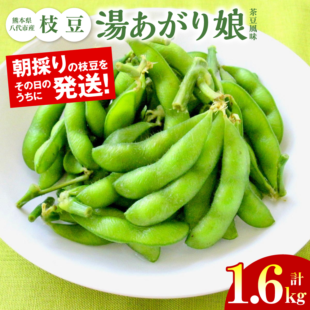 ys\z F{sY } [薺i) ] 1.6kg ܂ ٓ ܂  { G_} ̂ y  y2026N6{菇zF{s11000؁E