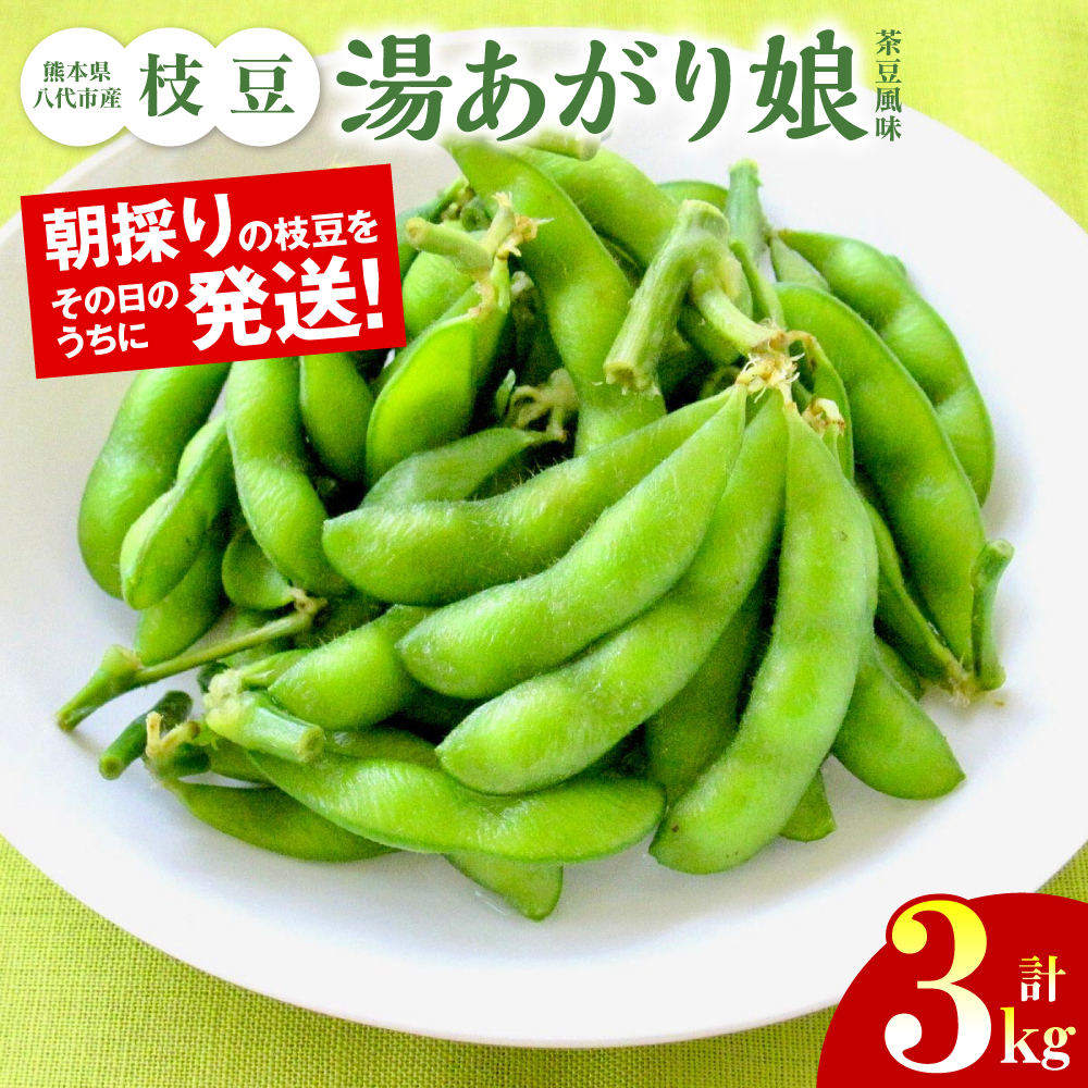 ys\z F{sY } [薺i) ] 3kg ܂ ٓ ܂  { G_} ̂ y  y2026N6{菇zF{s20000؁E