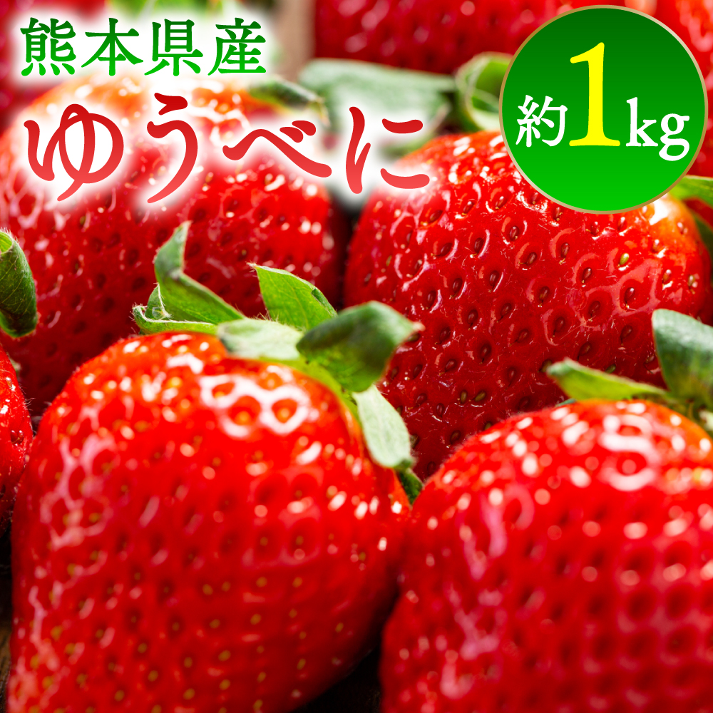 ys\z䂤ׂɂ@1kg ʕ  { W G߂̉ʕ y2026N2{菇zF{s10000ʕEt[c