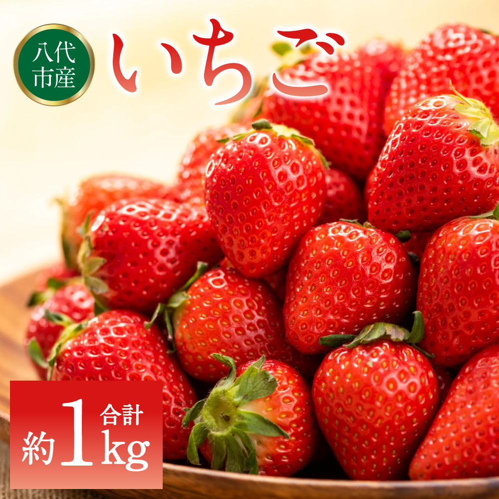 ys\z  1kgi250g×4pbNj C`S  ʕ t[c { W X[W[ y2026N2{菇zF{s15000ʕEt[c