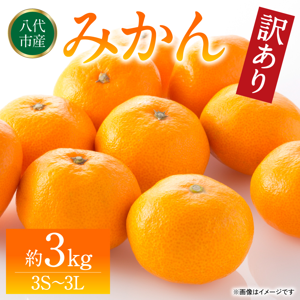 【訳あり】みかん 家庭用 (3S〜3Lサイズ) 約3kg 八代市産 熊本 ご家庭用 蜜柑 ミカン 柑橘 くだもの 果物 フルーツ デザート熊本県八代市6000果物・フルーツみかん・柑橘類