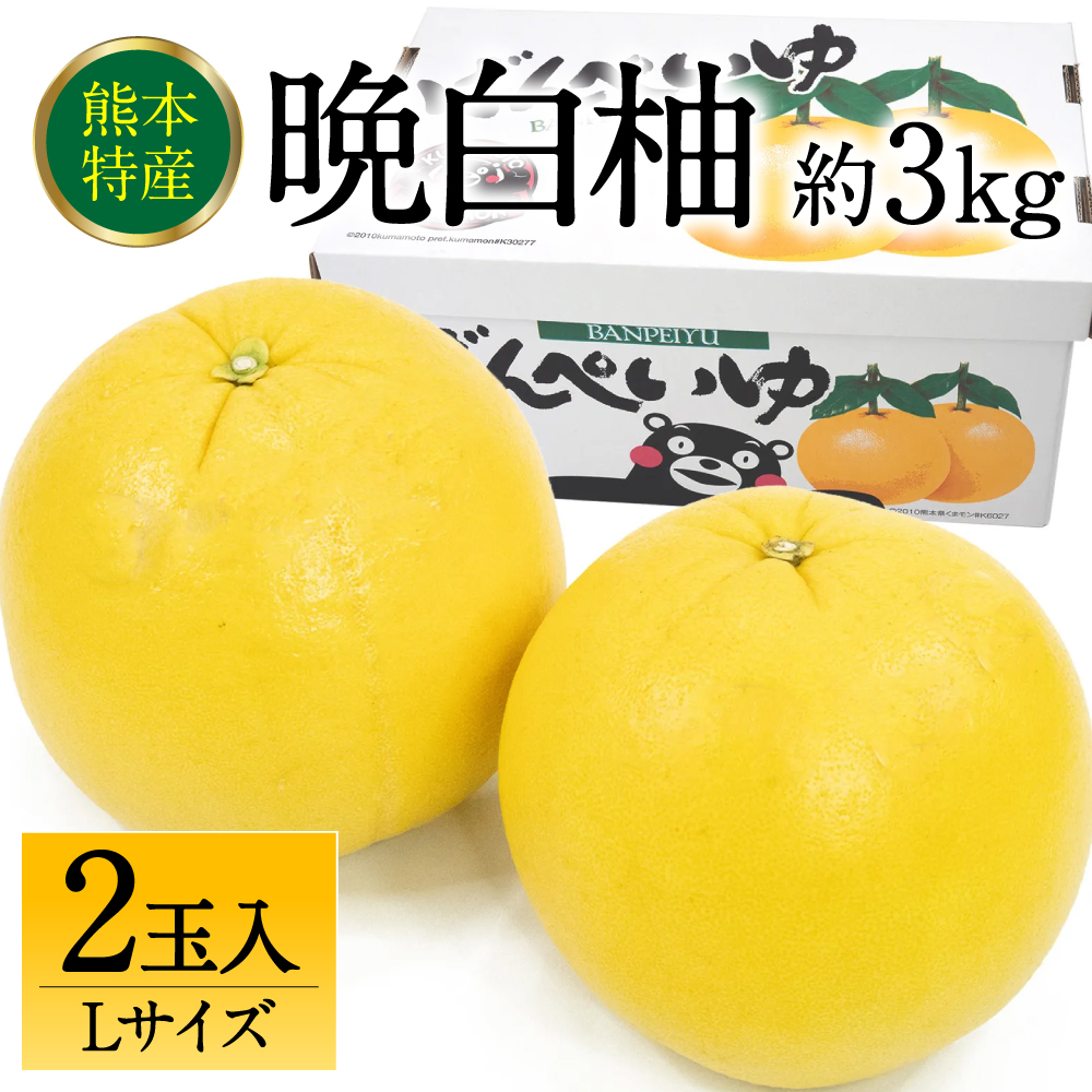 【先行予約】 熊本県八代市産 晩白柚 Lサイズ 2玉入り 約3kg 果物 くだもの フルーツ 柑橘類 青果物 特産品 お取り寄せ 【2025年12月中旬より順次発送】熊本県八代市10000果物・フルーツみかん