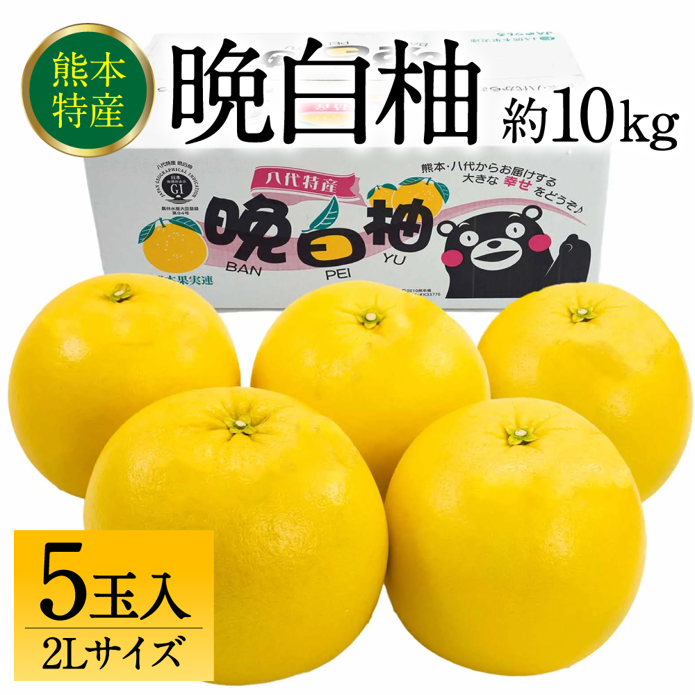 【先行予約】 熊本県八代市産 晩白柚 2Lサイズ 5玉入り 約10kg 果物 くだもの フルーツ 柑橘類 青果物 特産品 お取り寄せ 【2025年12月中旬より順次発送】熊本県八代市37000果物・フルーツみか