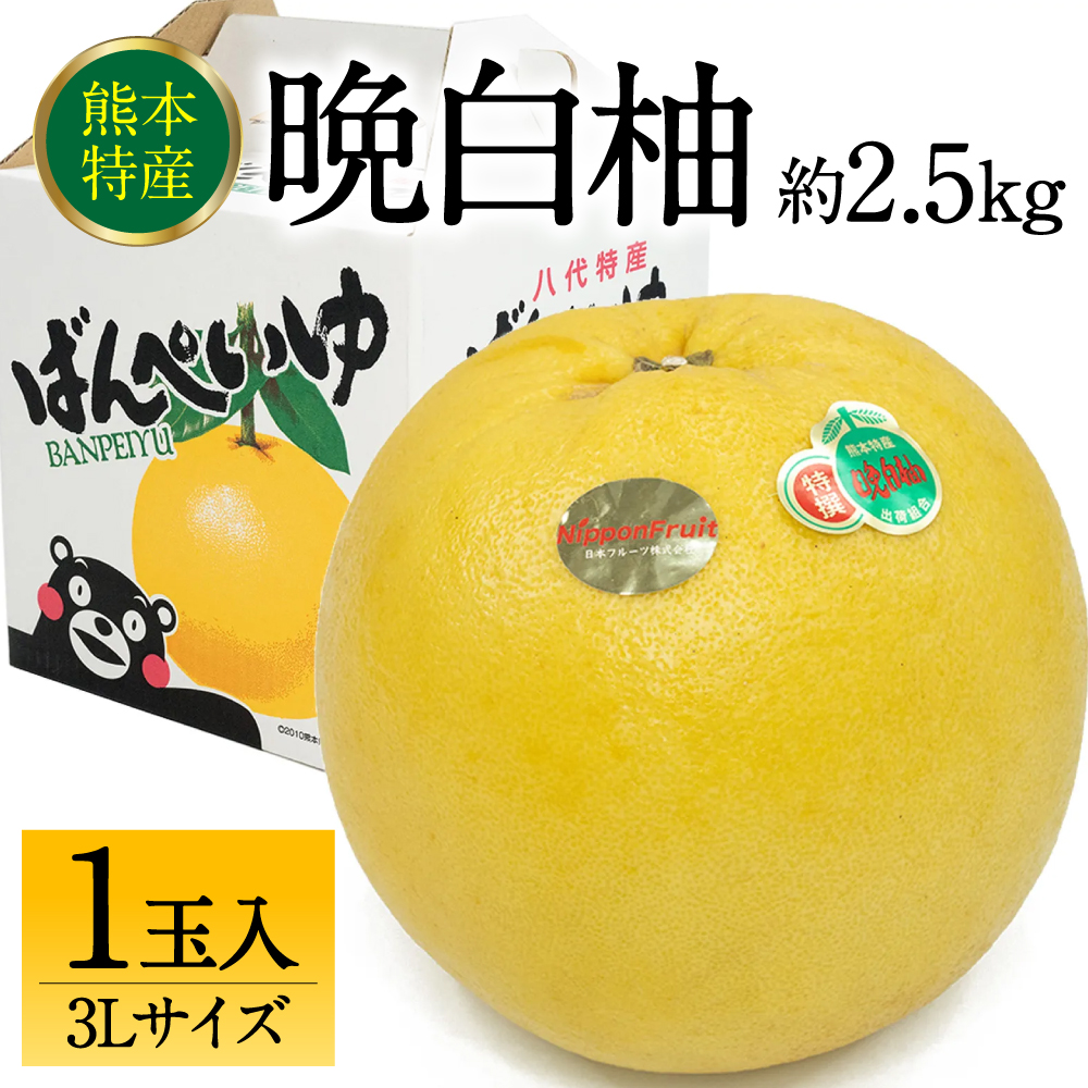 【先行予約】 熊本県八代市産 晩白柚 3Lサイズ 1玉入り 約2.5kg 果物 くだもの フルーツ 柑橘類 青果物 特産品 お取り寄せ 【2025年12月中旬より順次発送】熊本県八代市20000果物・フルーツみか