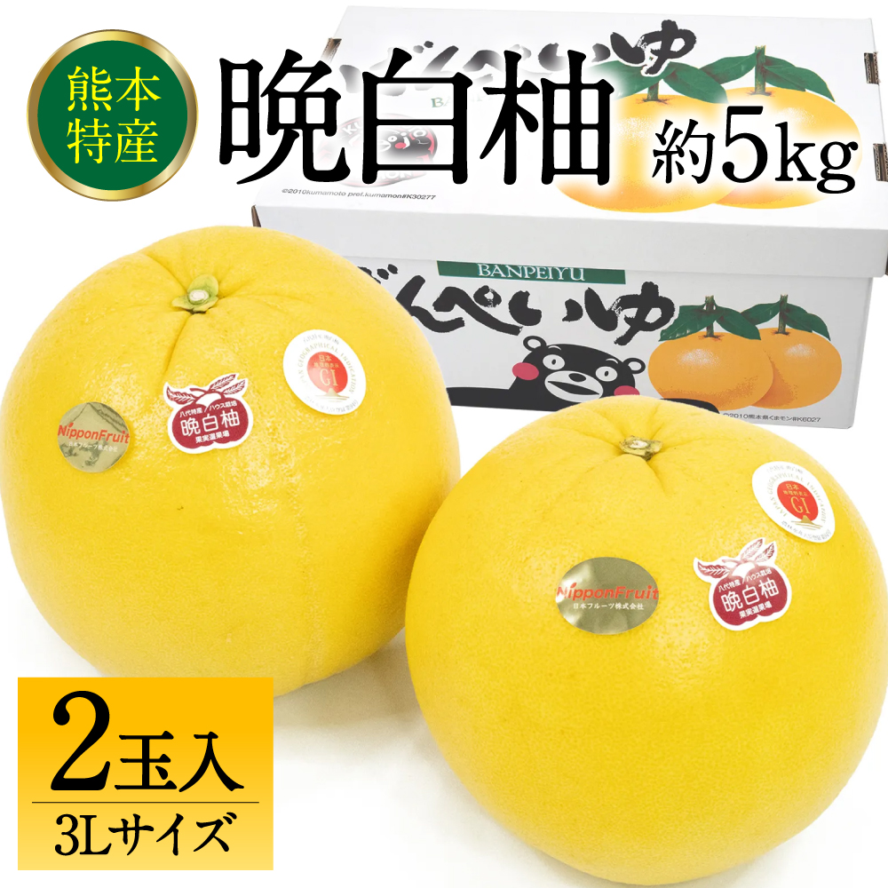 【先行予約】 熊本県八代市産 晩白柚 3Lサイズ 2玉入り 約5kg 果物 くだもの フルーツ 柑橘類 青果物 特産品 お取り寄せ 【2025年12月中旬より順次発送】熊本県八代市40000果物・フルーツみかん