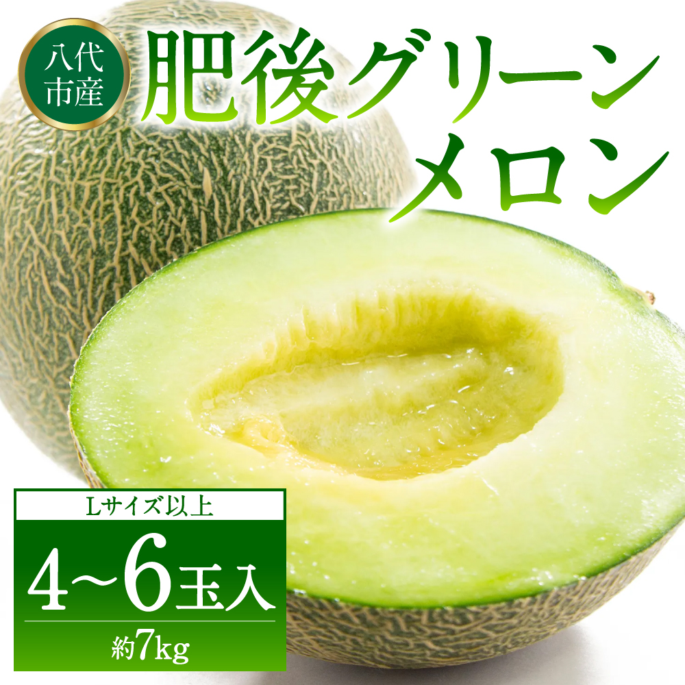 【先行予約】 熊本県八代市産 肥後グリーンメロン L以上  4〜6玉 約7kg 果物 くだもの フルーツ 肥後グリーン メロン 青肉メロン 【2026年6月上旬より順次発送】熊本県八代市20000果物・フルー