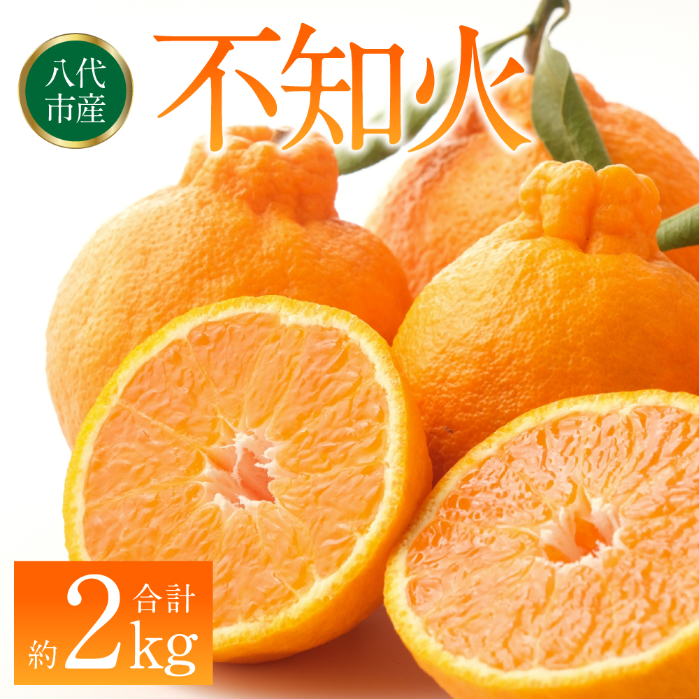 【先行予約】 不知火(デコポンと同品種) 約2kg しらぬい でこみかん 柑橘 ミカン ポンカン くだもの 果物 フルーツ 【2026年1月下旬より順次発送】熊本県八代市8000果物・フルーツみかん・