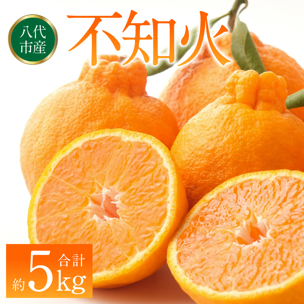 【先行予約】 不知火(デコポンと同品種) 約5kg しらぬい でこみかん 柑橘 ミカン ポンカン くだもの 果物 フルーツ 【2026年1月下旬より順次発送】熊本県八代市12000果物・フルーツみかん・