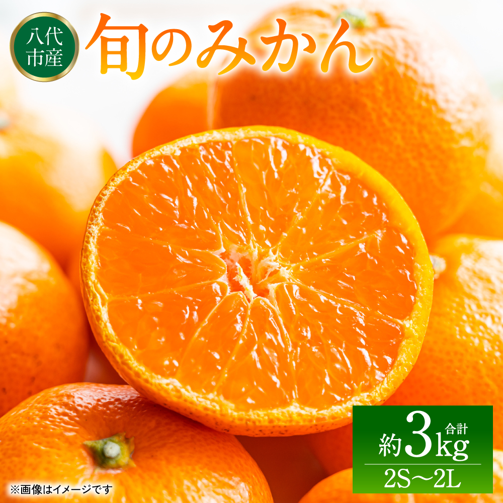旬のみかん 2S〜2Lサイズ 約3kg ミカン 柑橘 果物 フルーツ 旬 デザート 熊本県八代市7000果物・フルーツみかん・柑橘類