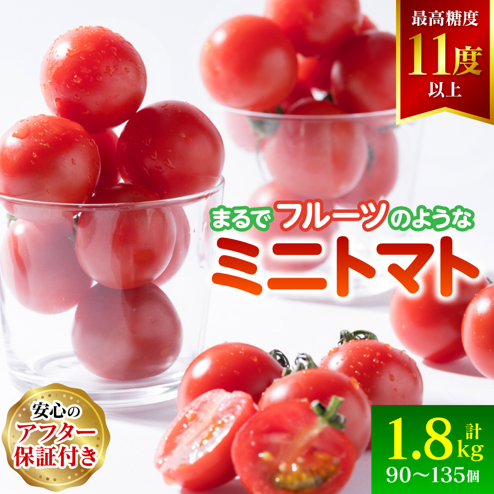 【先行予約】まるで フルーツ の様な ミニトマト 1.8kg トマト 甘い 国産 野菜 やさい サラダ 【2026年1月上旬より順次発送】熊本県八代市17000野菜・きのこトマト