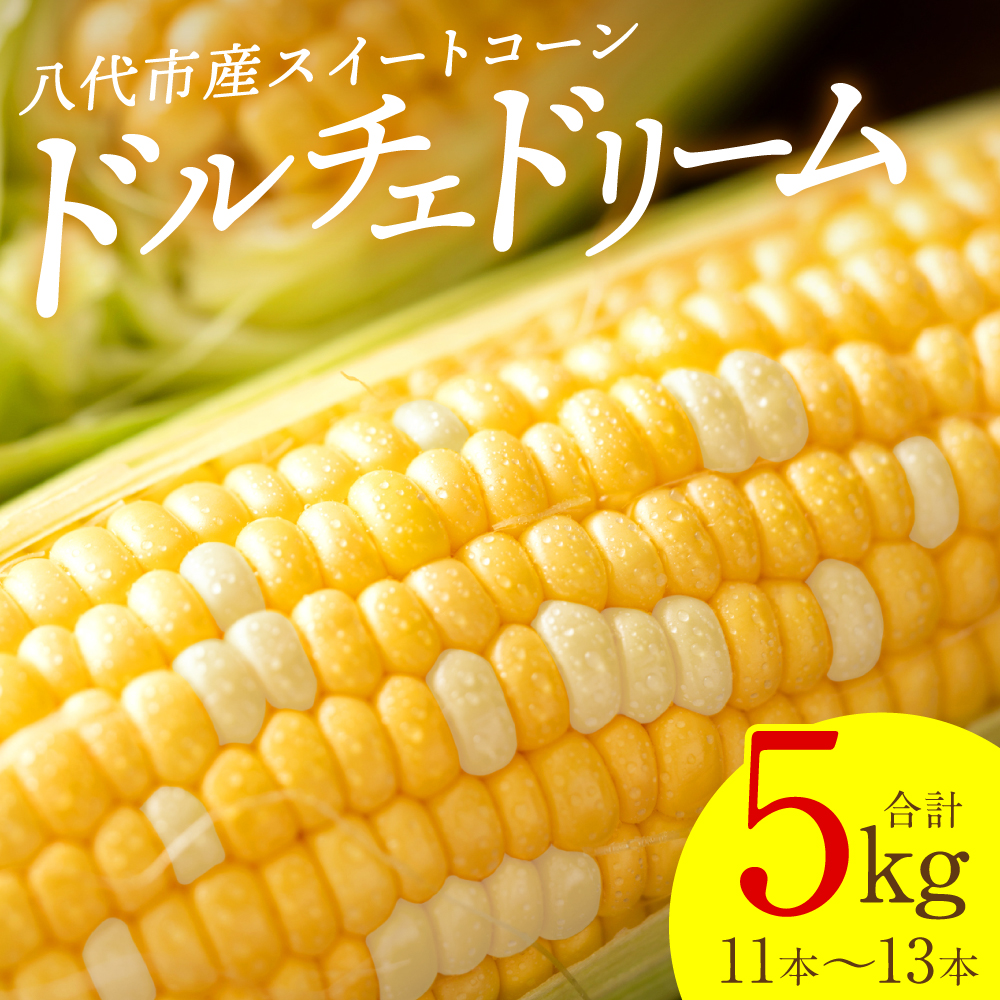 【先行予約】 スイートコーン5kg(11本〜13本) ドルチェドリーム とうもろこし コーン 野菜 やさい 新鮮 冷蔵 BBQ おつまみ 【2026年5月中旬より順次発送】熊本県八代市21000野菜・きのことうもろ