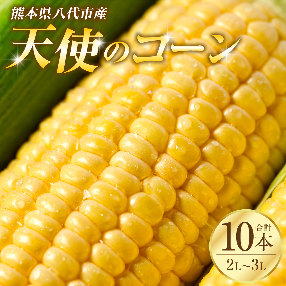 ys\z F{sYuVg̃R[v2L`3LTCY v10{ XC[gR[ Ƃ낱 R[ Ƃ낱 y2026N5{菇zF{s11000؁E