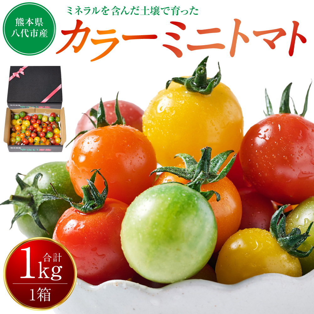 【先行予約】 カラーミニトマト1kg トマト とまと ミニトマト プチトマト 野菜 やさい 旬の野菜 新鮮な野菜 地元産野菜 旬のやさい 新鮮なやさい ご当地 国産 特産品 お取り寄せ ギフト プレ