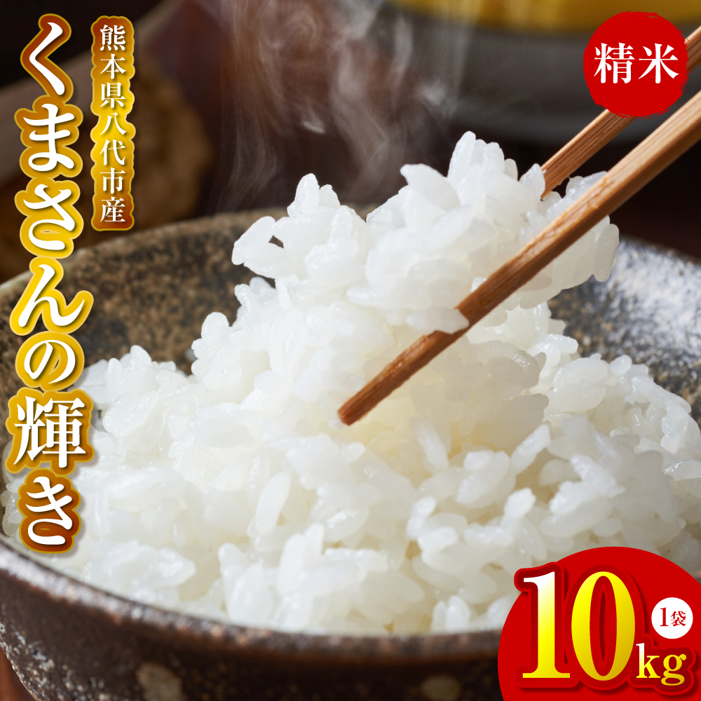 【先行予約】《令和7年産》 くまさんの輝き 精米10kg 熊本県 八代市産 米 お米 精米  国産 白米 【2025年11月下旬より順次発送】熊本県八代市30000米・パン白米