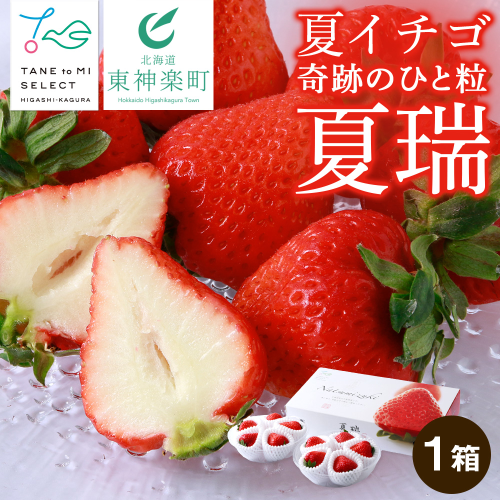 2026年産 先行予約【夏イチゴ】奇跡のひと粒「夏瑞」2パックセット 果物 フルーツ 苺 いちご 国産 北海道産北海道東神楽町12000果物・フルーツいちご