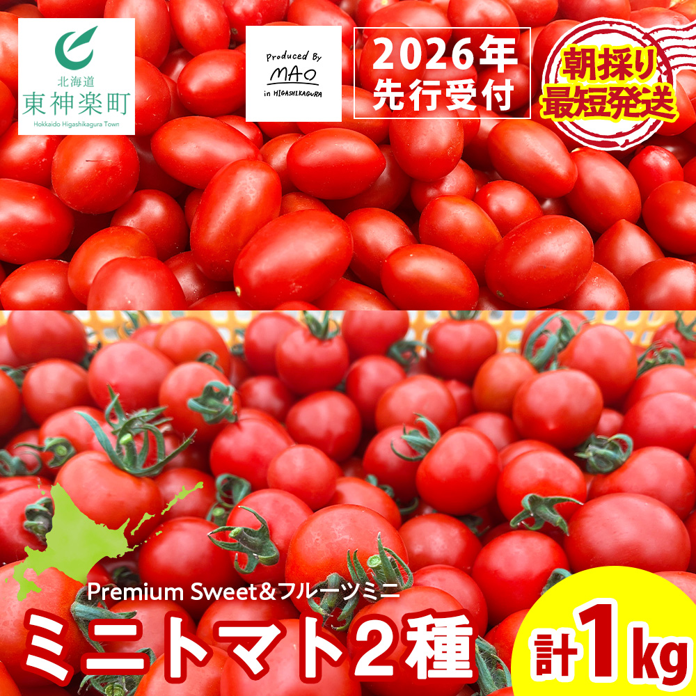 【2026年先行予約】 朝採りフルーツミニトマト&フルーツミニ 計1kg北海道東神楽町10000野菜・きのこトマト