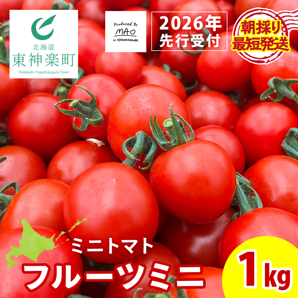 【2026年先行予約】 【朝採れ最短発送!】フルーツミニ ミニトマト1kg北海道東神楽町9000野菜・きのこトマト
