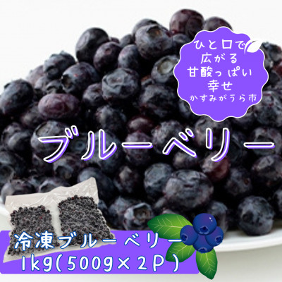 冷凍ブルーベリー1kg(500g×2パック)【配送不可地域:離島】【1108080】茨城県かすみがうら市11000果物・フルーツその他 果物・フルーツ