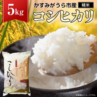 令和7年産かすみがうら市産コシヒカリ  精米  5kg【1268974】茨城県かすみがうら市12000米・パン白米