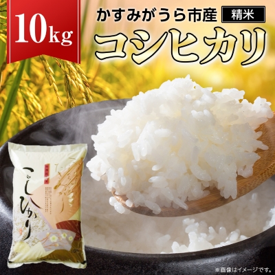 令和6年産☆特別栽培米☆鳥取県産コシヒカリ／JA鳥取西部【5kg