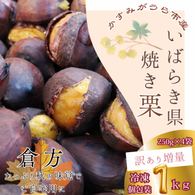 【訳あり増量】貴重品種『倉方』の焼き栗    250g×4セット(冷凍)【配送不可地域:離島】【1320086】茨城県かすみがうら市13000果物・フルーツその他 果物・フルーツ