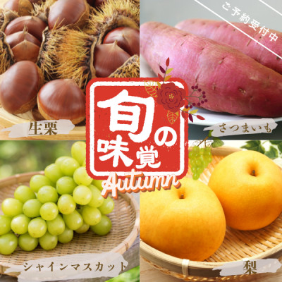 ystz{̂̋lߍ킹@-VC}XJbgEE܂EI-yzsnFEzy1337457z錧݂s14000ʕEt[c}XJbgEԂǂ