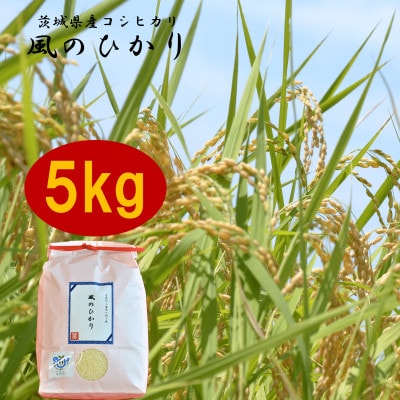 茨城県産コシヒカリ風のひかり5kg【1342907】茨城県かすみがうら市30000米・パン白米