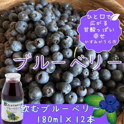 ݂Y@ރu[x[@180ml×12{y1377970z錧݂s13000Eʏ`E؈