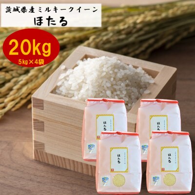 茨城県産ミルキークイーンほたる20kg(5kg×4袋)【1396023】茨城県かすみがうら市93000米・パン白米