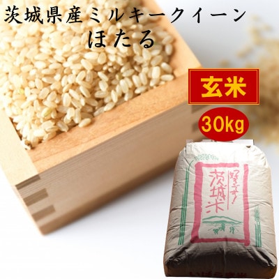茨城県産ミルキークイーンほたる30kg(玄米)【1398973】茨城県かすみがうら市119000米・パン玄米・雑穀米・もち米・餅