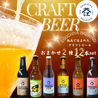 霞ヶ浦エリアの醸造所 江口屋醸造所のクラフトビール2種12本セット【配送不可地域:離島】【1415197】茨城県かすみがうら市29000酒・アルコールビール・発泡酒