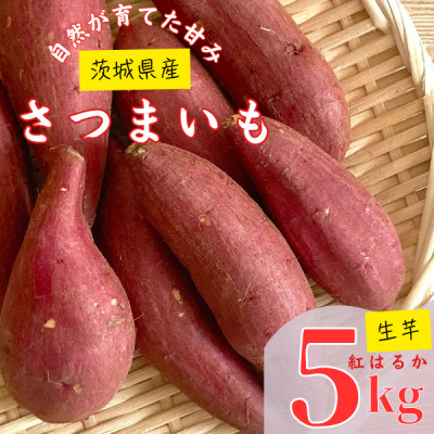 y錧Yz܂ g͂邩 5Kgy1437615z錧݂s10000؁ÊႪEC