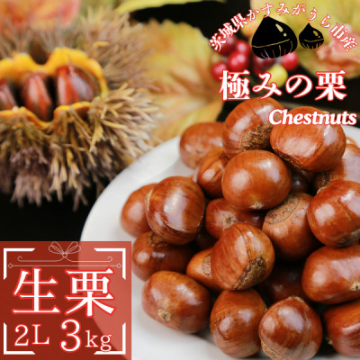 【先行受付】かすみがうら市産 生栗 2Lサイズ 3kg【配送不可地域:離島】【1437712】茨城県かすみがうら市20000果物・フルーツその他 果物・フルーツ