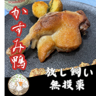 かすみ鴨骨付きモモ肉のコンフィ(2本)【配送不可地域:離島】【1448787】茨城県かすみがうら市12000肉ジビエ