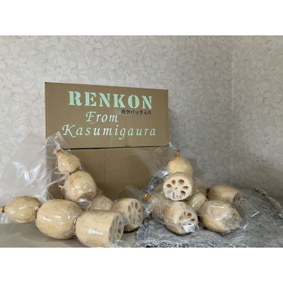 かすみがうらの宝石 キュートな小粒れんこん(真空パック入り)2kg【配送不可地域:離島】【1457868】茨城県かすみがうら市18000野菜・きのこ大根・ニンジン・根菜類