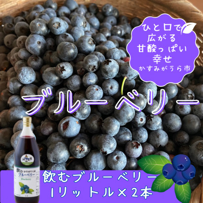 かすみがうら市産 飲むブルーベリー 1L×2本【1481666】茨城県かすみがうら市8000お茶・飲料果汁・野菜飲料