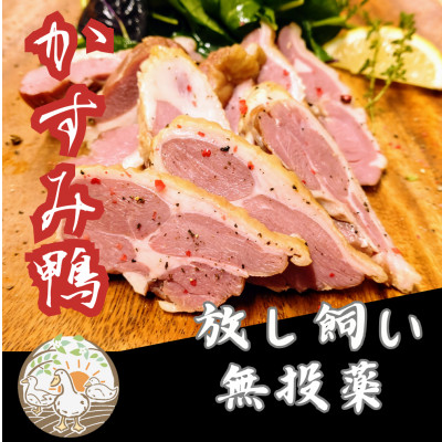 かすみ鴨 モモ肉スモークセット 計約500g(3〜4パック)【配送不可地域:離島】【1563882】茨城県かすみがうら市16000肉ジビエ