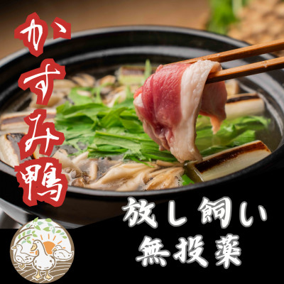 鴨鍋の素4人前  鴨スープ1kgと鴨モモ肉2羽分(計800〜900g)のセット【配送不可地域:離島】【1577230】茨城県かすみがうら市25000鍋セット・総菜・加工食品その他 鍋セット・総菜・加工食品