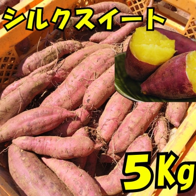 さつまいも(シルクスイート5kg)【1597491】茨城県かすみがうら市10000野菜・きのこじゃがいも・イモ類