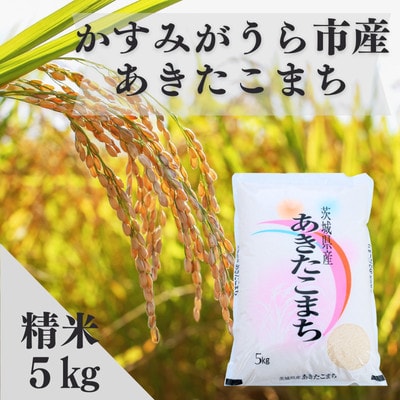 令和7年産かすみがうら市産あきたこまち  精米  5kg【1666718】茨城県かすみがうら市12000米・パン白米