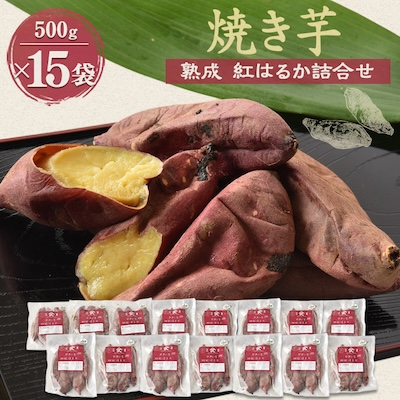 焼き芋「熟成 紅はるか」詰合せ×3セット【配送不可地域:離島】【1900428】茨城県かすみがうら市36000野菜・きのこじゃがいも・イモ類