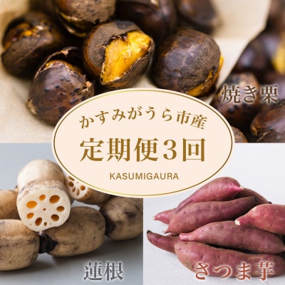 【発送月固定定期便】茨城県 特産品3種全3回【配送不可地域:離島】【4062740】茨城県かすみがうら市30000果物・フルーツその他 果物・フルーツ