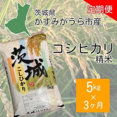 【毎月定期便】茨城県かすみがうら市産 コシヒカリ 精米 5kg全3回【4075265】茨城県かすみがうら市39000米・パン白米