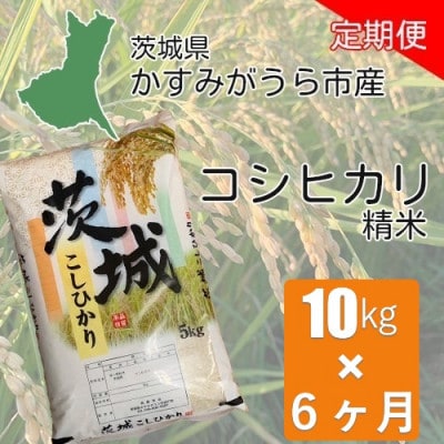 【毎月定期便】茨城県かすみがうら産 コシヒカリ 精米 10kg全6回【4075581】茨城県かすみがうら市150000米・パン白米