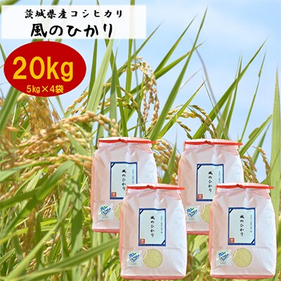 2023年9月発送開始『定期便』お米ソムリエ厳選!茨城県産コシヒカリのお米20kg 全12回【5154866】茨城県かすみがうら市476000米・パン白米