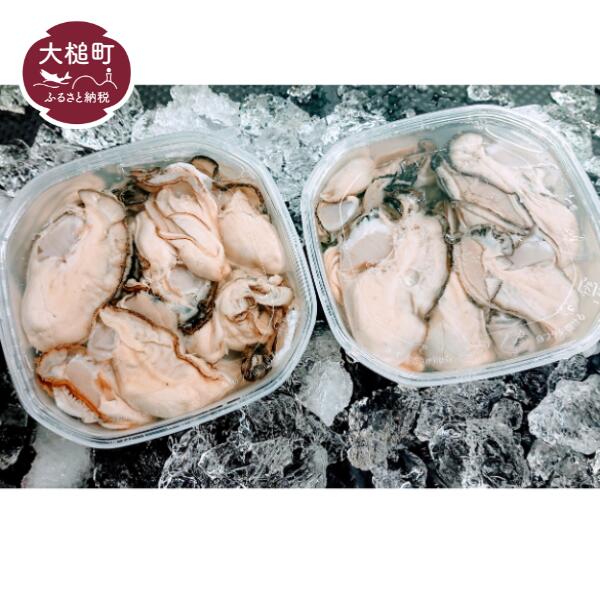 y2025N12蔭z OY ނ y300g×2(Mp)茧ƒ12000ECYL