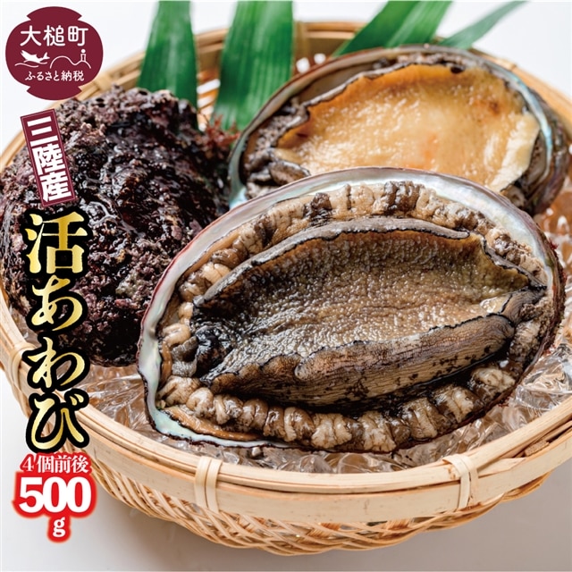 【期間限定11月〜12月発送】【配送日・曜日指定不可】活アワビ約500g(4個前後)岩手県大槌町30000魚介・海産物貝類